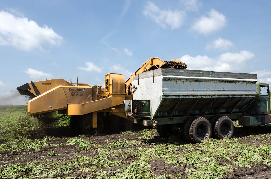 Large machinery harvesting potatoes under a clear blue sky in North Carolina.